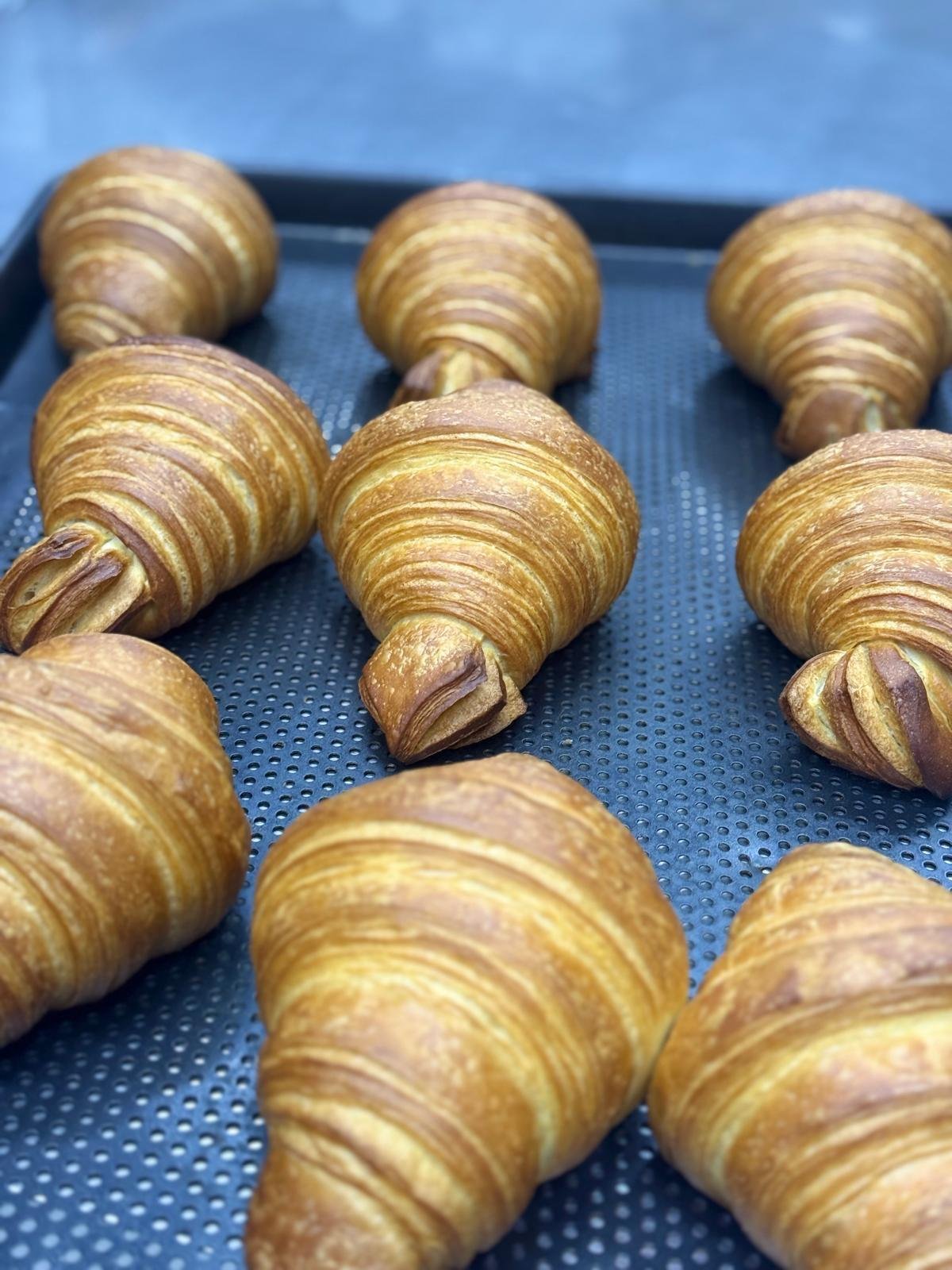 WhatsApp Image 2026-04-08 at 21.02.49 (11)